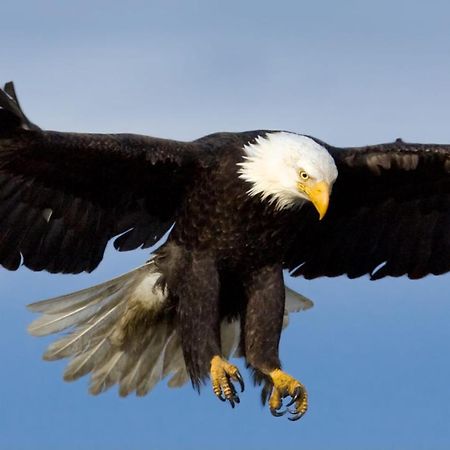 Eagles Land Lejlighed EDI Eksteriør billede
